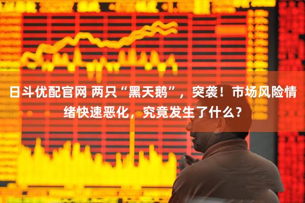 日斗优配官网 两只“黑天鹅”,突袭!市场风险情绪快速恶化,究竟发生了什么?