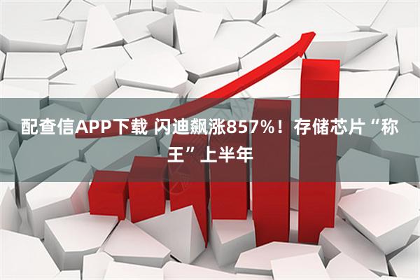 配查信APP下载 闪迪飙涨857%！存储芯片“称王”上半年